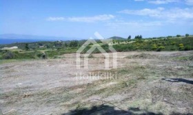 ������� ������ | Imot.bg � ����� ������ 14