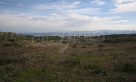 ������� ������ | Imot.bg � ����� ������ 10