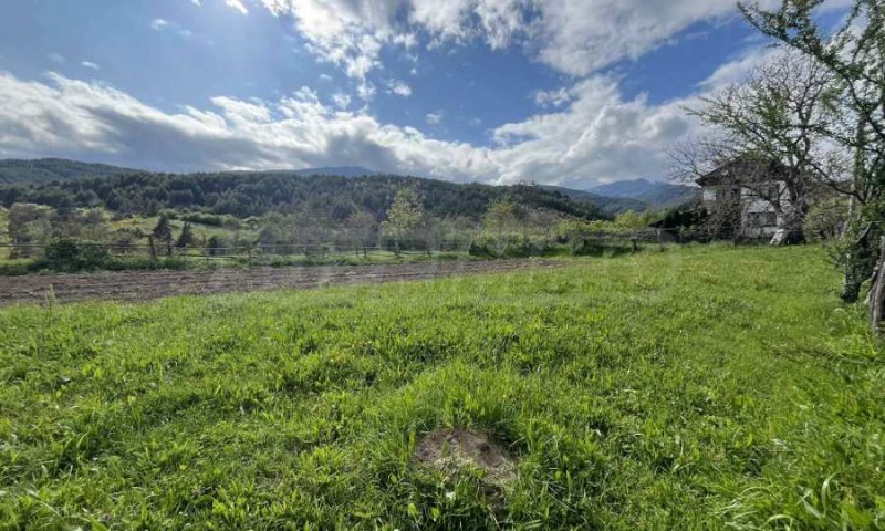 For Sale  Plot region Blagoevgrad , Dobarsko , 804 sq.m | 75331956 - image [8]