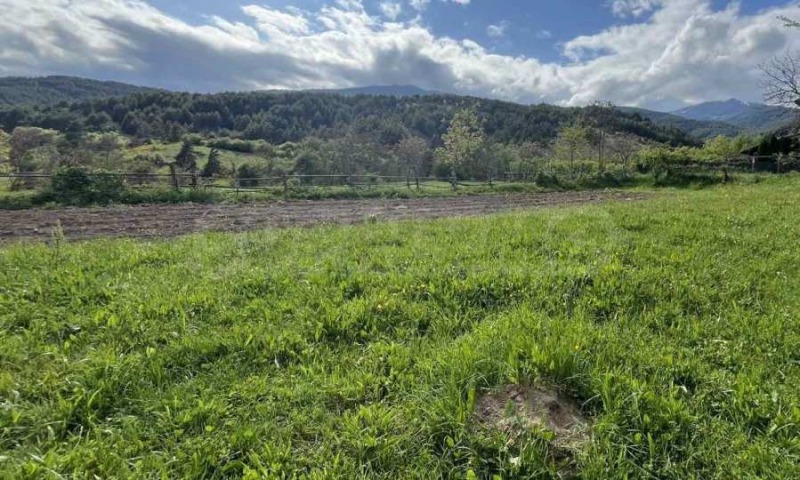 Till salu  Komplott region Blagoevgrad , Dobarsko , 804 kvm | 75331956 - bild [6]