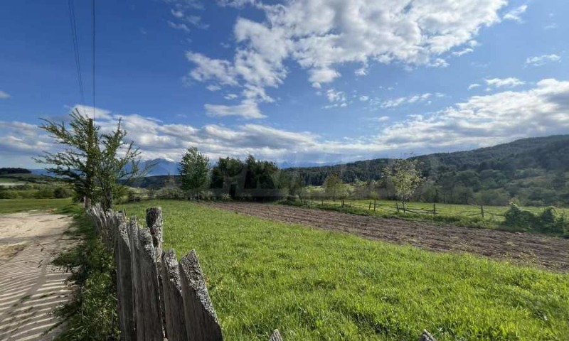 For Sale  Plot region Blagoevgrad , Dobarsko , 804 sq.m | 75331956 - image [2]