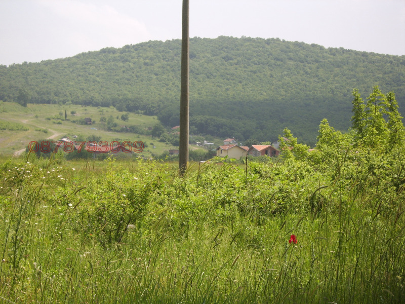 Na prodej  Spiknutí oblast Burgas , Atija , 3000 m2 | 56877807 - obraz [4]