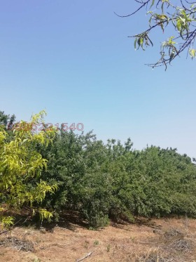 ������� ���� | Imot.bg � ����� ������ 14
