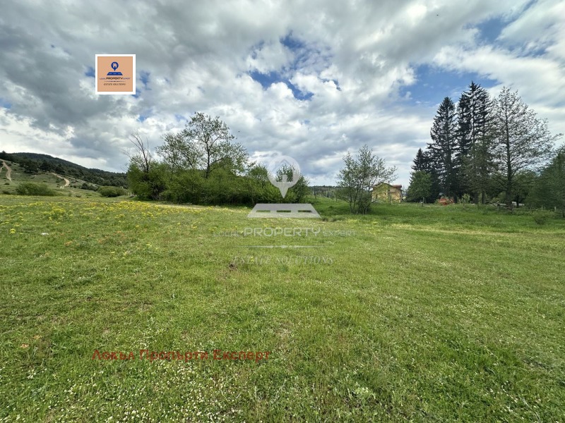 Zu verkaufen  Handlung region Blagoewgrad , Banja , 970 qm | 43264230 - Bild [5]
