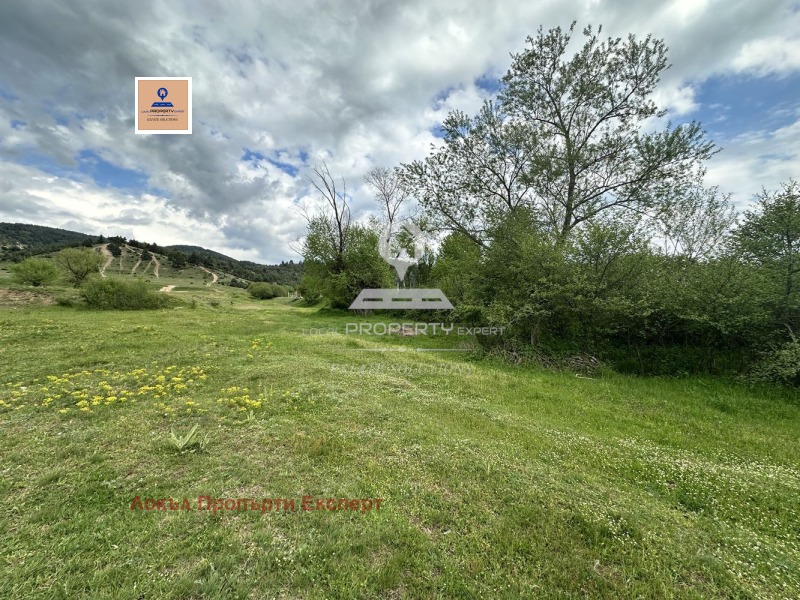 Zu verkaufen  Handlung region Blagoewgrad , Banja , 970 qm | 43264230 - Bild [6]