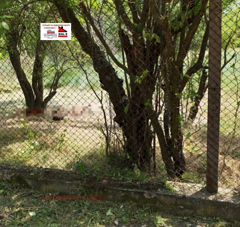 Zu verkaufen  Handlung region Kjustendil , Dolna Grashtiza , 770 qm | 60508537 - Bild [4]