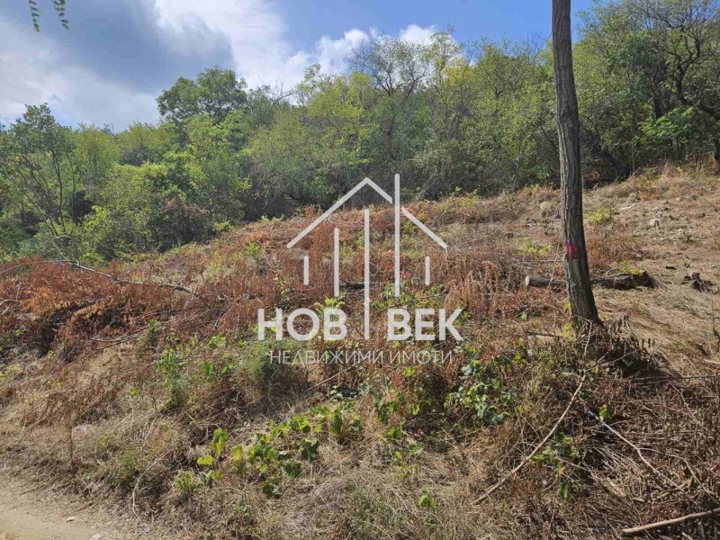 Продается  Сюжет Варна , м-т Горна Трака , 485 кв.м | 11393995 - изображение [3]