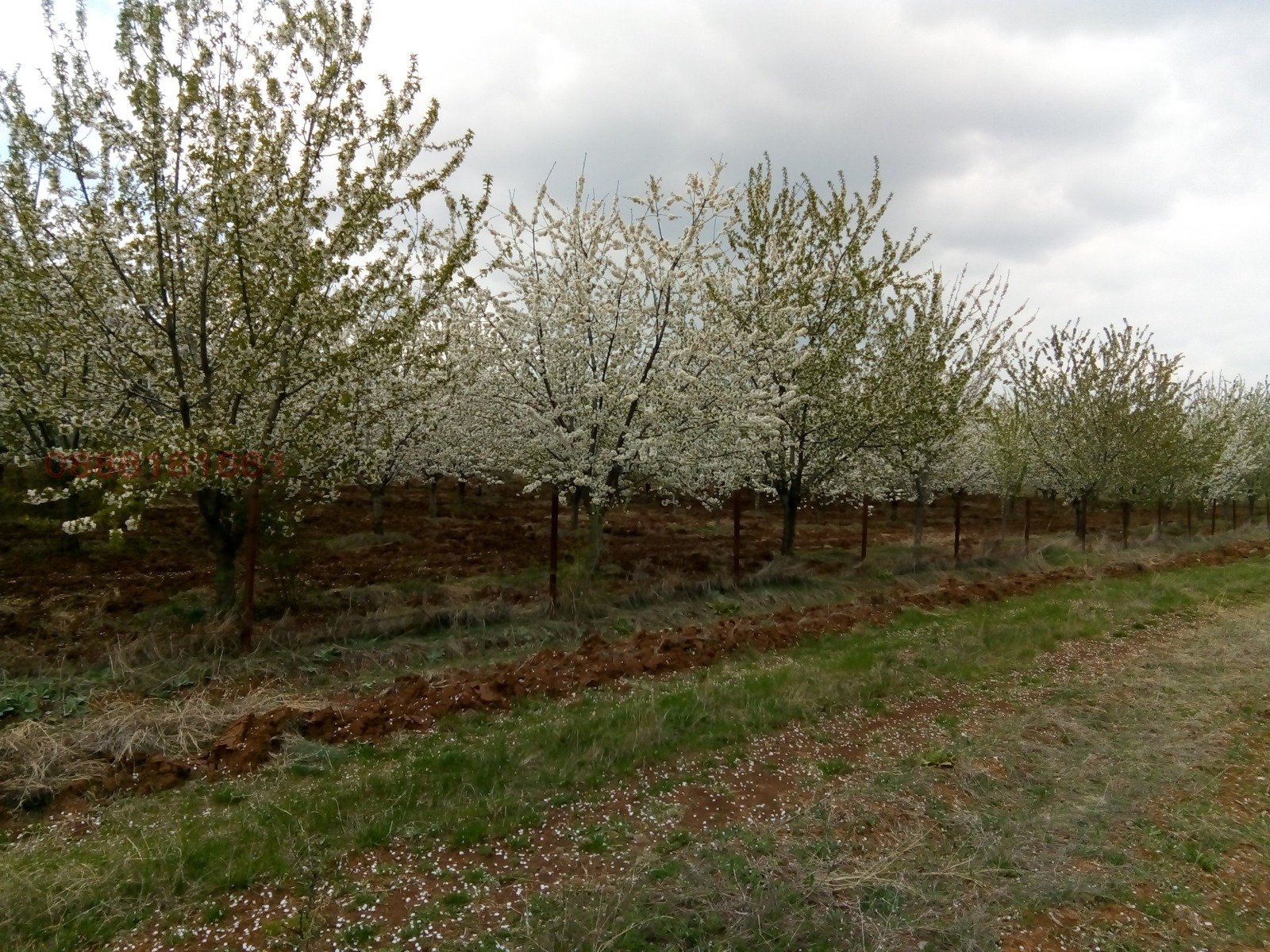 Продава ЗЕМЕДЕЛСКА ЗЕМЯ | Imot.bg — изображение 1