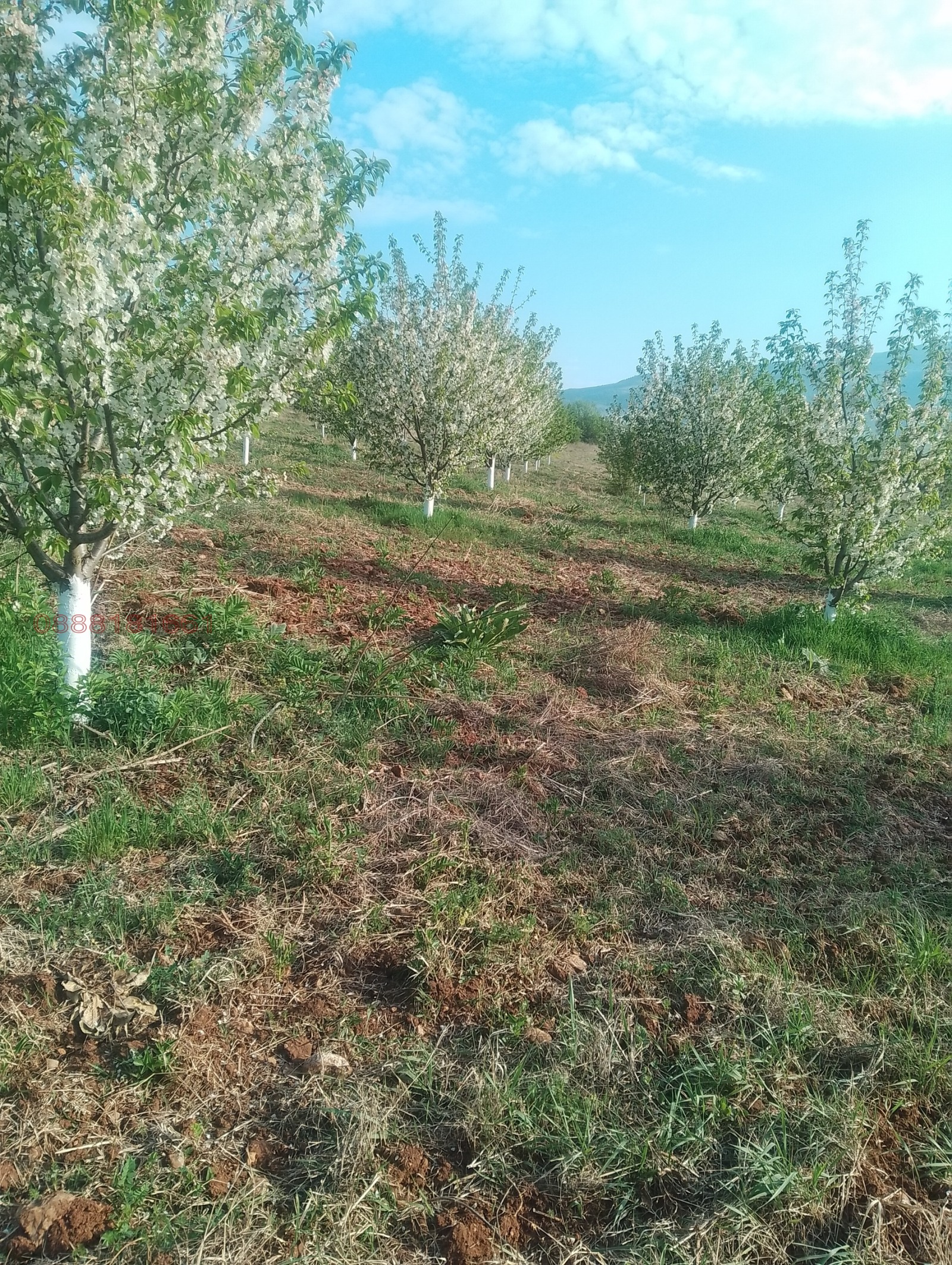 Продава ЗЕМЕДЕЛСКА ЗЕМЯ | Imot.bg — изображение 4