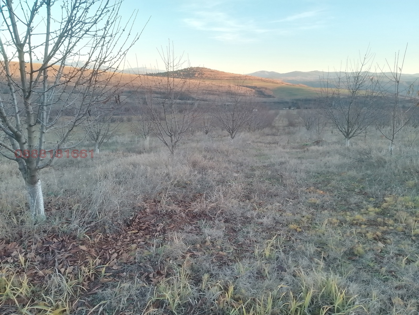 Продава ЗЕМЕДЕЛСКА ЗЕМЯ | Imot.bg — изображение 11