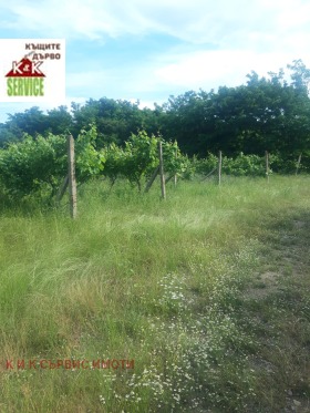 Продажба на земеделски земи в област Пловдив — страница 19 - изображение 8 