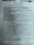 Продава ЗЕМЕДЕЛСКА ЗЕМЯ, гр. Перник, област Перник, снимка 7