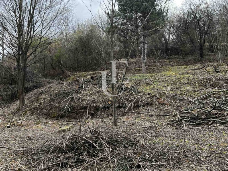 For Sale  Plot Sofia , Pancharevo , 631 sq.m | 87021038 - image [5]