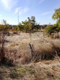 Продава ПАРЦЕЛ, с. Чоба, област Пловдив, снимка 2