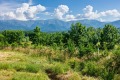 Продава ПАРЦЕЛ, гр. Априлци, област Ловеч, снимка 6