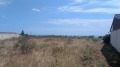 Продава ПАРЦЕЛ, с. Топола, област Добрич, снимка 2