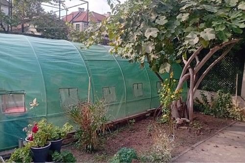 ������� ���� �� ���� | Imot.bg � ����������� 8