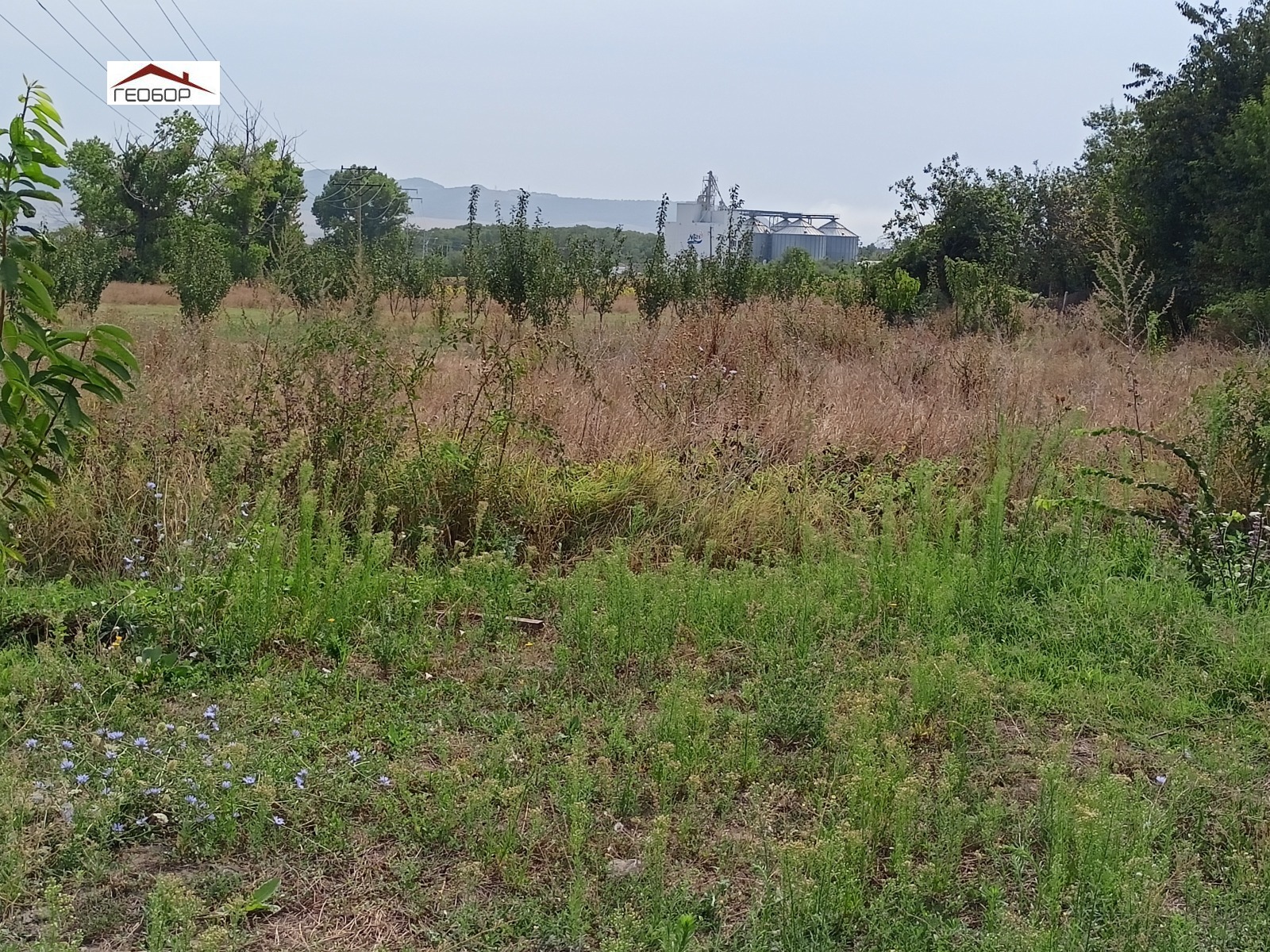 ������� ���� | Imot.bg � ����������� 8