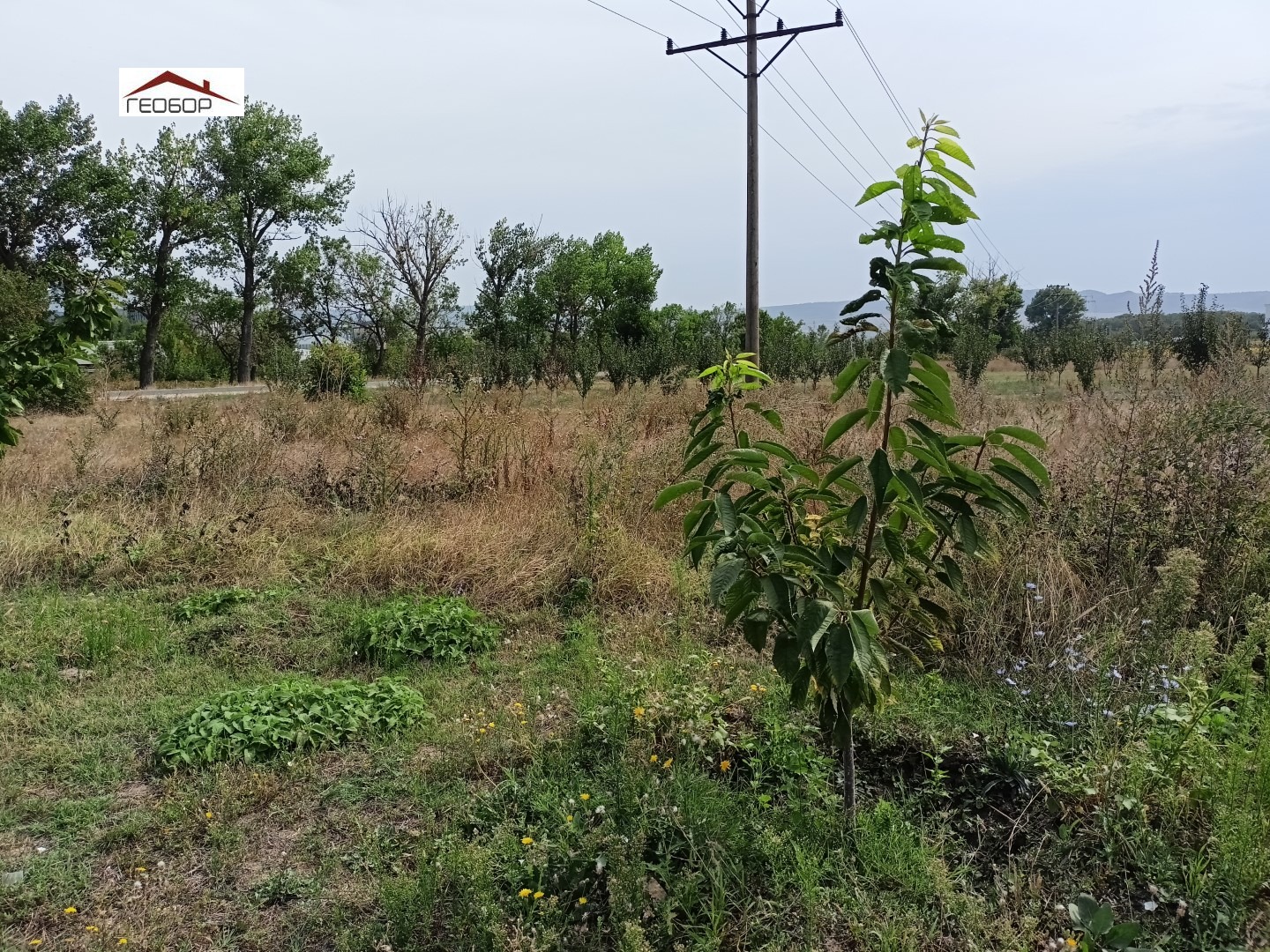 ������� ���� | Imot.bg � ����������� 9