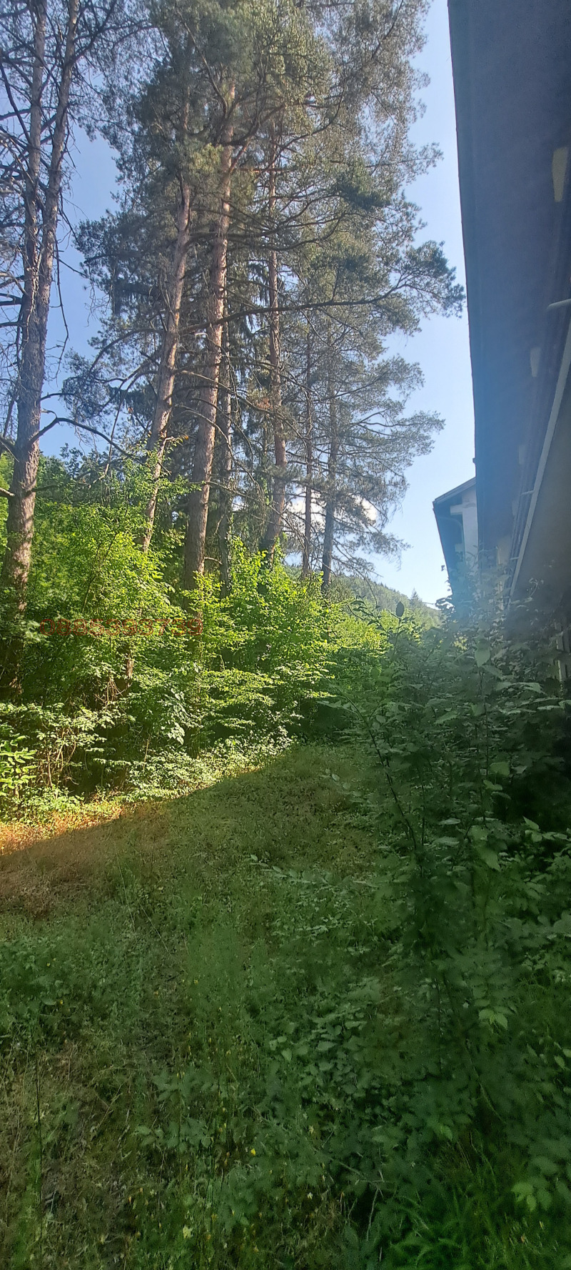 Til salg  Hotel region Veliko Tarnovo , Mishemorkov han , 8700 kvm | 44784942 - billede [13]