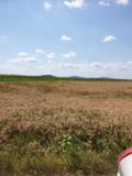 Продава ПАРЦЕЛ, с. Гурмазово, област София област, снимка 2