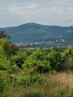 ������� ������ | Imot.bg � ����� ������ 2