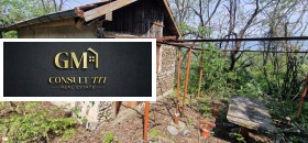 ������ ������� ������