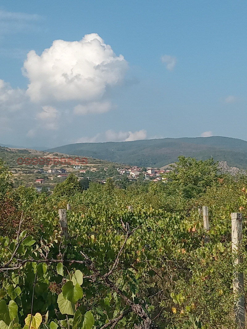 Продаја  Плот регион Пловдив , Марково , 720 м2 | 39904324 - слика [2]