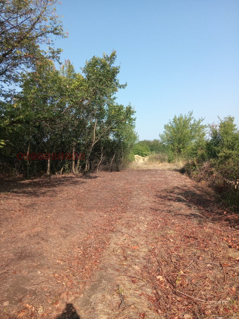 Продаја  Плот регион Пловдив , Марково , 720 м2 | 39904324 - слика [11]