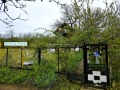 Продава ВИЛА, гр. Русе, в.з. Касева Чешма, снимка 12