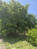 Продава КЪЩА, област Стара Загора, гр. Раднево • 45000 € / 88012.35 лв. • 59774690 5