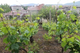 Maison Veliki Preslav, région Choumen 3