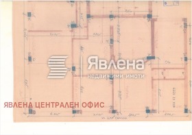 ����� ������� �������,���� �����, ������