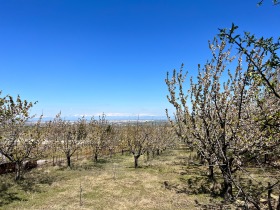 Οικόπεδο Βρεστνηκ, περιοχή Plovdiv 7