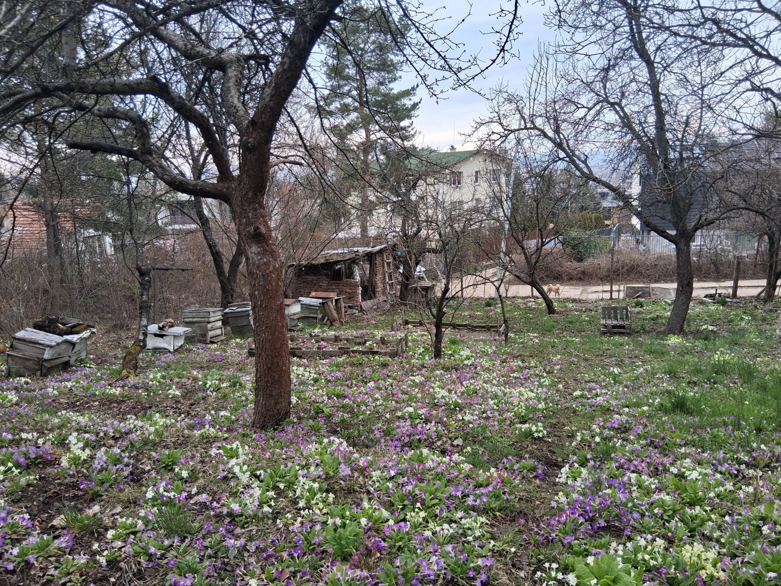 ������� ������ | Imot.bg � ����������� 2