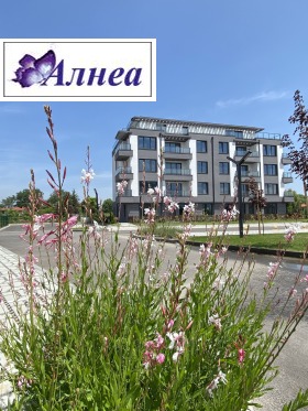 ������� 2-����� | Imot.bg � ����� ������ 3