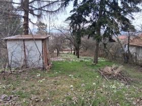 ����� ������� ������,���� �����, �.�.����������� 3 ����