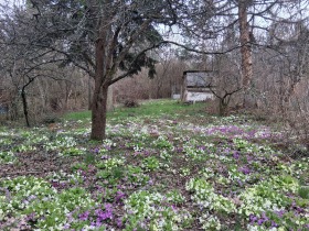 ����� ������� ������,���� �����, �.�.����������� 3 ����