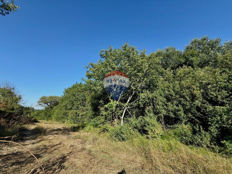 Продава ЗЕМЕДЕЛСКА ЗЕМЯ, с. Генерал Кантарджиево, област Варна, снимка 14 - Земеделска земя - 52445054