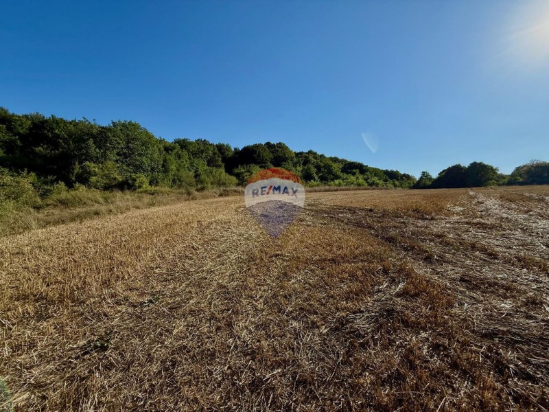 Продава ЗЕМЕДЕЛСКА ЗЕМЯ, с. Генерал Кантарджиево, област Варна, снимка 4 - Земеделска земя - 52445054