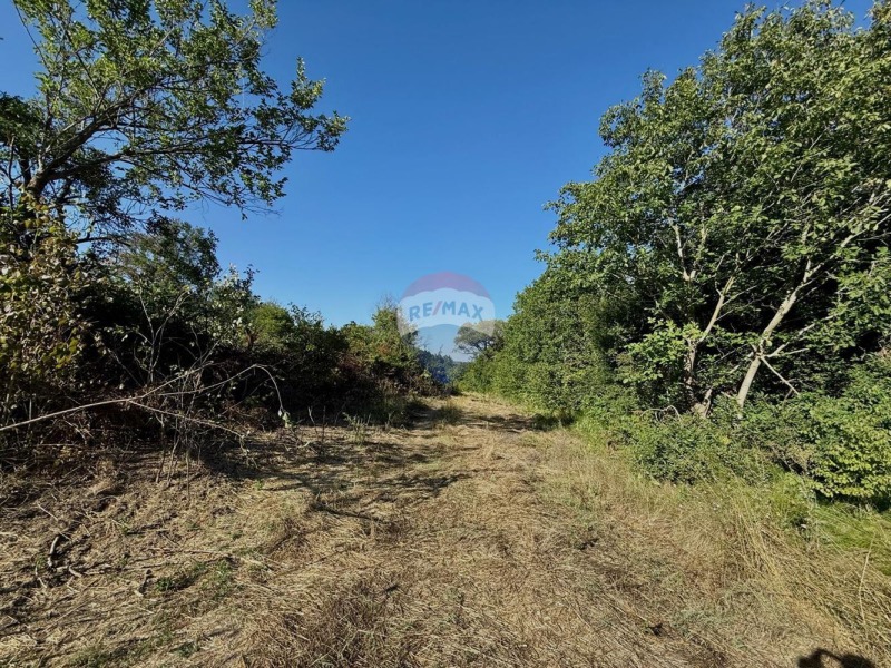 Продава ЗЕМЕДЕЛСКА ЗЕМЯ, с. Генерал Кантарджиево, област Варна, снимка 13 - Земеделска земя - 52445054