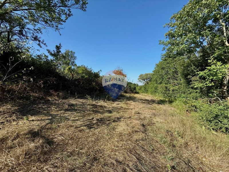 Продава ЗЕМЕДЕЛСКА ЗЕМЯ, с. Генерал Кантарджиево, област Варна, снимка 12 - Земеделска земя - 52445054