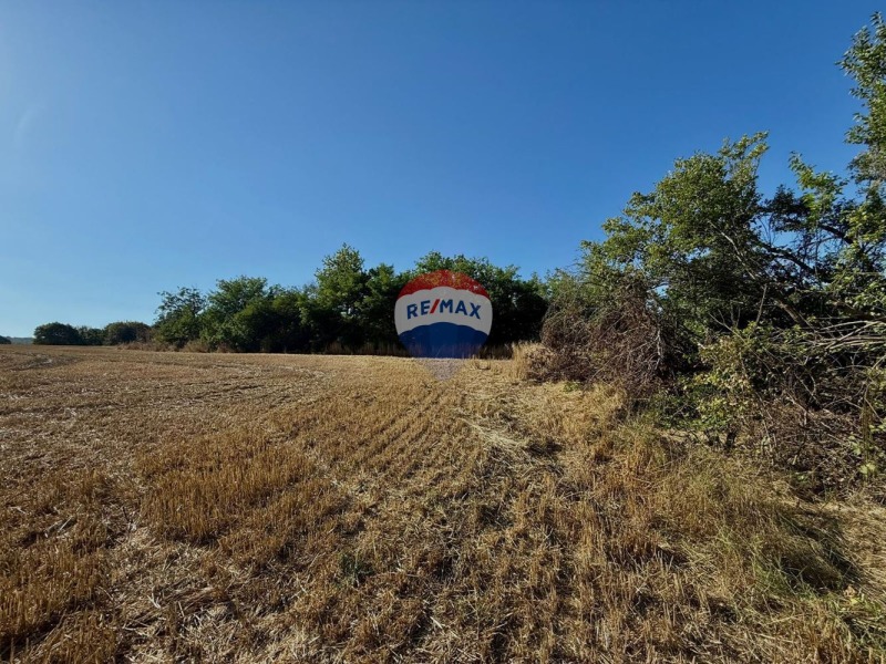 Продава ЗЕМЕДЕЛСКА ЗЕМЯ, с. Генерал Кантарджиево, област Варна, снимка 2 - Земеделска земя - 52445054