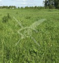 Продава ПАРЦЕЛ, област Пловдив, гр. Перущица • 43000 € • 13977795 — Holmes.bg