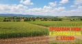 Продава  Земеделска земя област Стара Загора , с. Елхово (Николаево) , 13.828 дка | 97357837