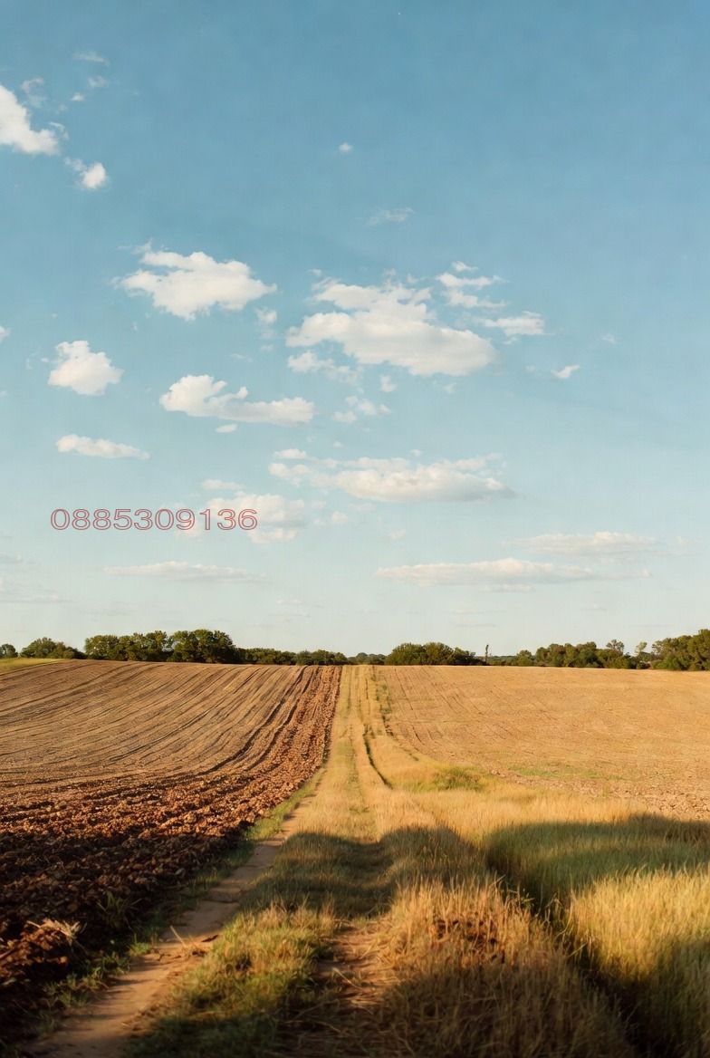 ������� ���������� ���� | Imot.bg � ����������� 10