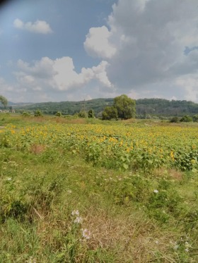 Land Kowatschewzi, region Pernik 1