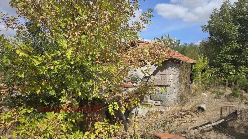 Продава КЪЩА, с. Сталево, област Хасково, снимка 4 - Къщи - 52146419