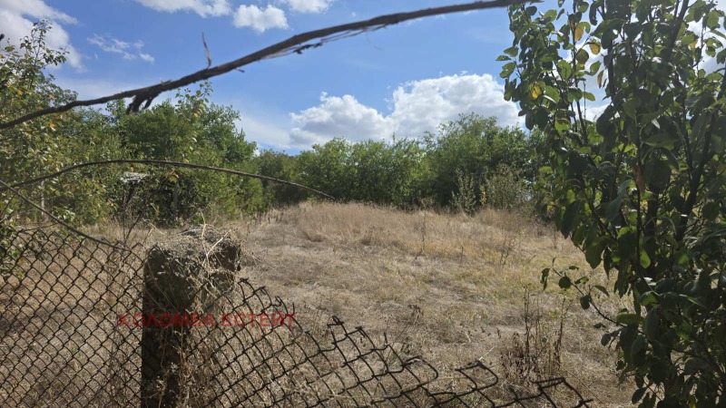 Продава КЪЩА, с. Сталево, област Хасково, снимка 2 - Къщи - 52146419