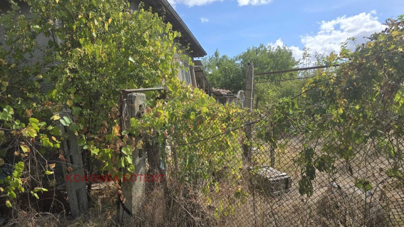 Продава КЪЩА, с. Сталево, област Хасково, снимка 7 - Къщи - 52146419